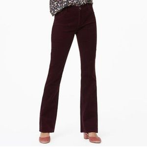 NWT - LOFT Bootcut Corduroy Pants